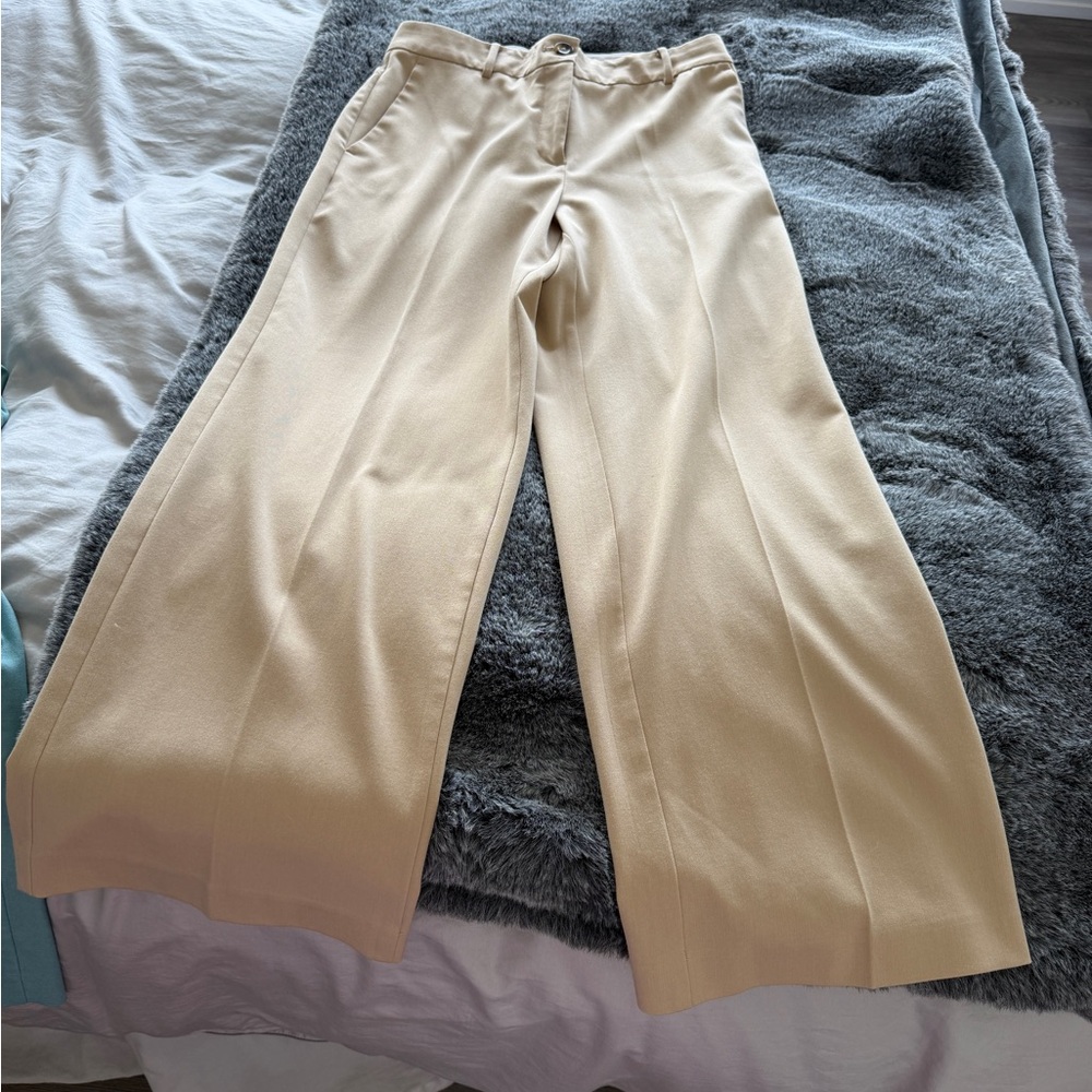 Ann Taylor Cream and Tan Trousers